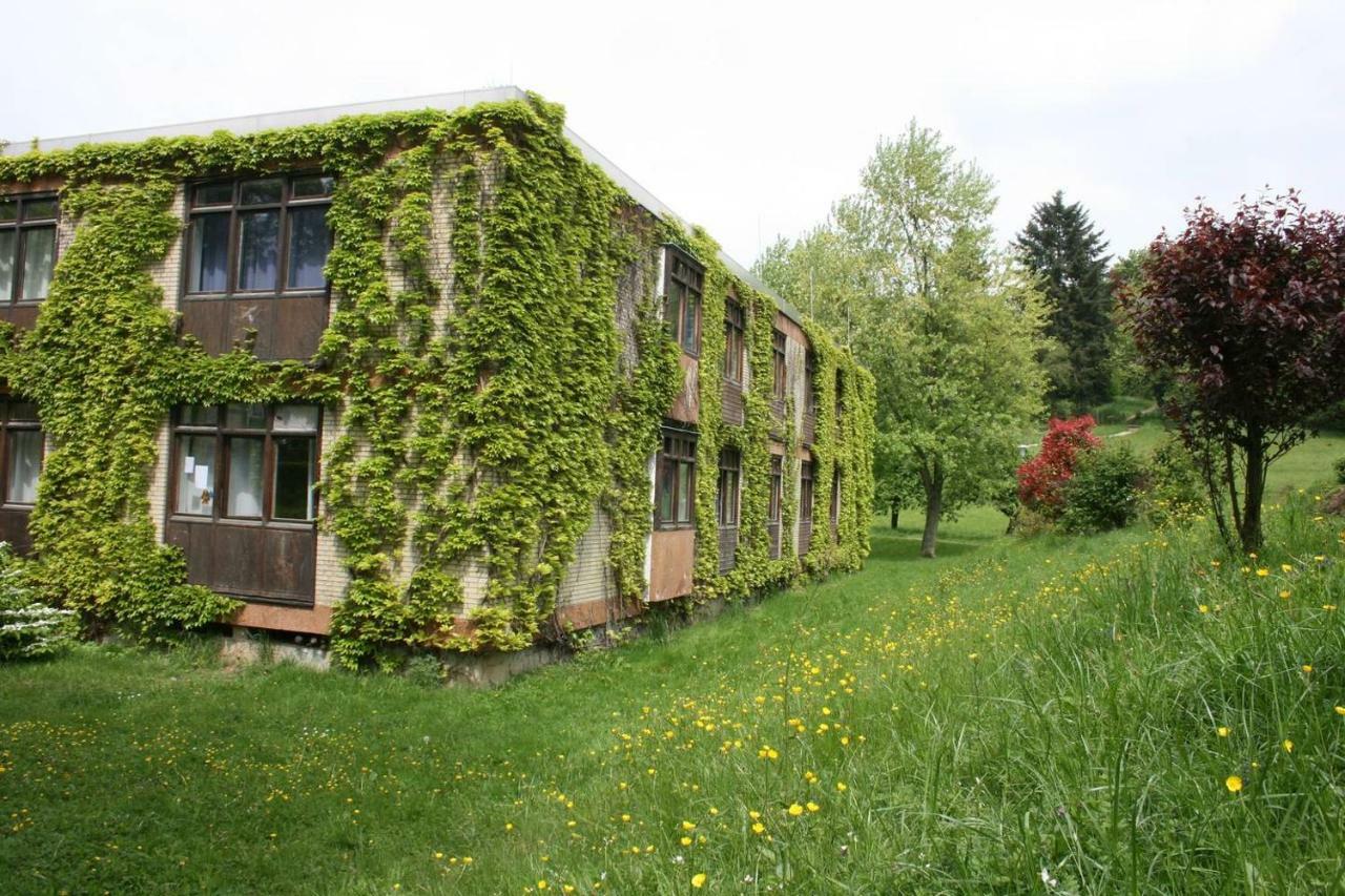 Blumenmeer Appartment Ober-Hambach 外观 照片